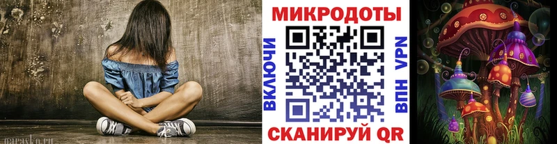 дарнет шоп  Александровск-Сахалинский  Галлюциногенные грибы Psilocybine cubensis 